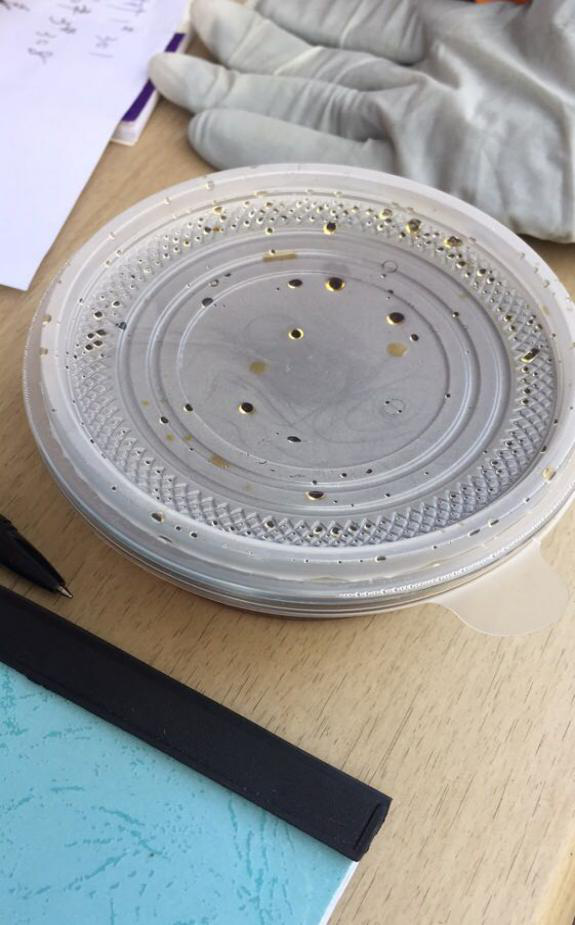 九游会老哥必备的交流社区_J9俱乐部论坛首页