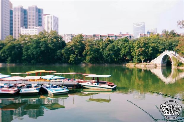 九游会老哥必备的交流社区_J9俱乐部论坛首页