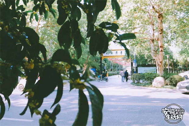 九游会老哥必备的交流社区_J9俱乐部论坛首页