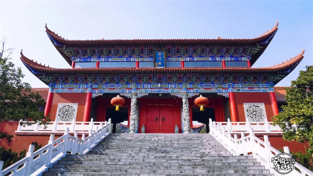 九游会老哥必备的交流社区_J9俱乐部论坛首页