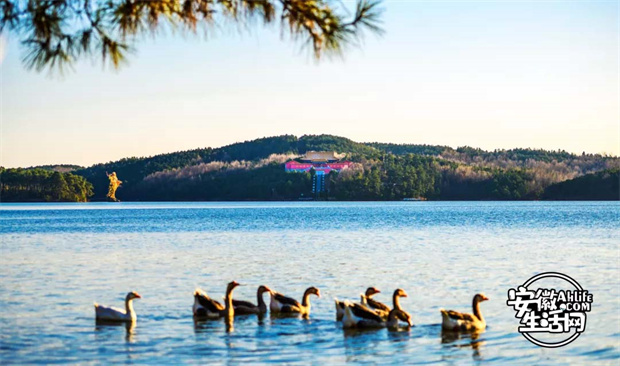 九游会老哥必备的交流社区_J9俱乐部论坛首页