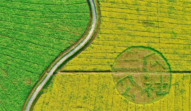 九游会老哥必备的交流社区_J9俱乐部论坛首页