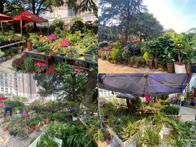 九游会老哥必备的交流社区_J9俱乐部论坛首页