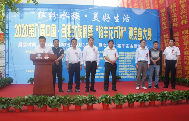 九游会老哥必备的交流社区_J9俱乐部论坛首页