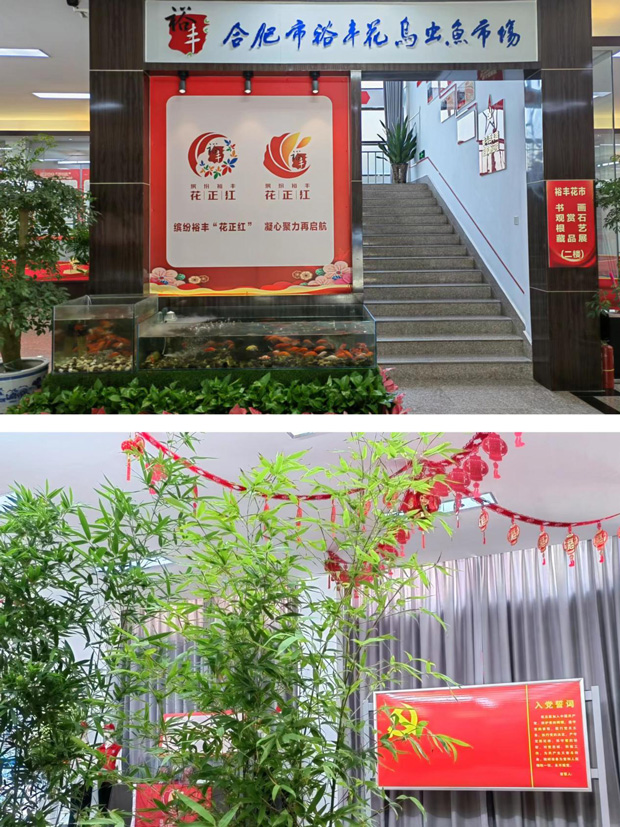 九游会老哥必备的交流社区_J9俱乐部论坛首页