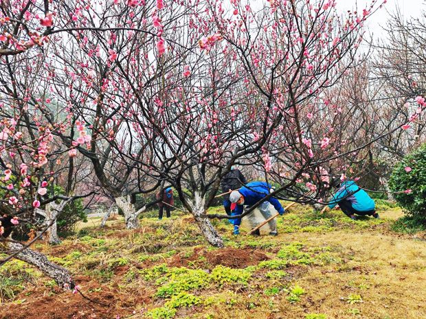 九游会老哥必备的交流社区_J9俱乐部论坛首页