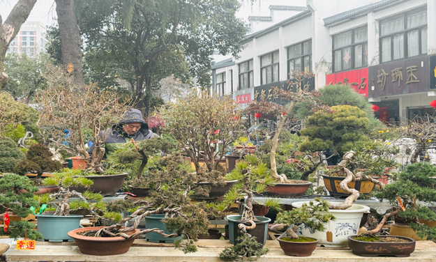 九游会老哥必备的交流社区_J9俱乐部论坛首页